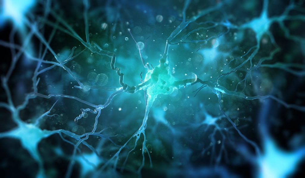 New Brain Cells Grow Neurogenesis Depression Memory Diet Exercise